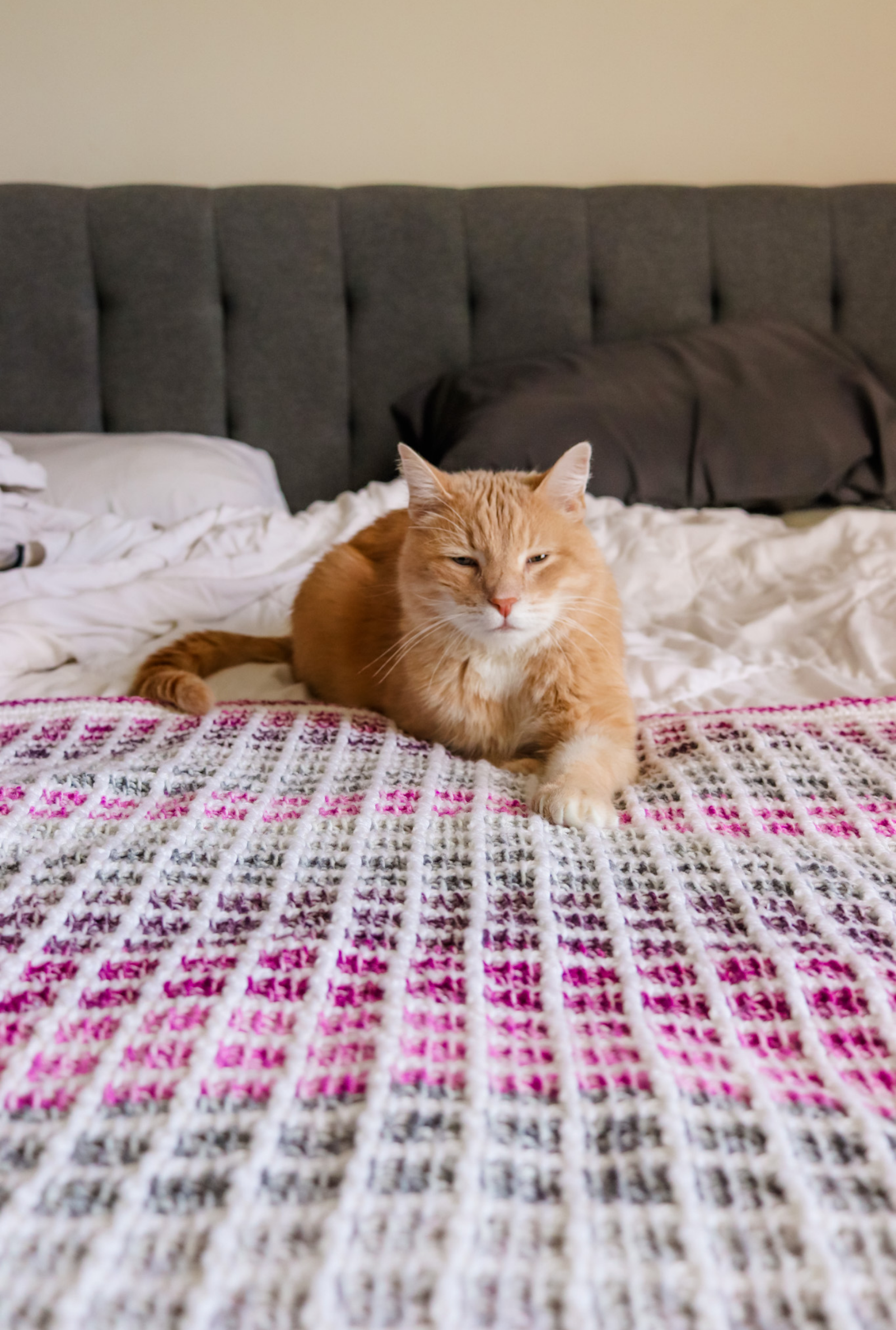 Mulberry Afghan // Tunisian Crochet PDF Pattern