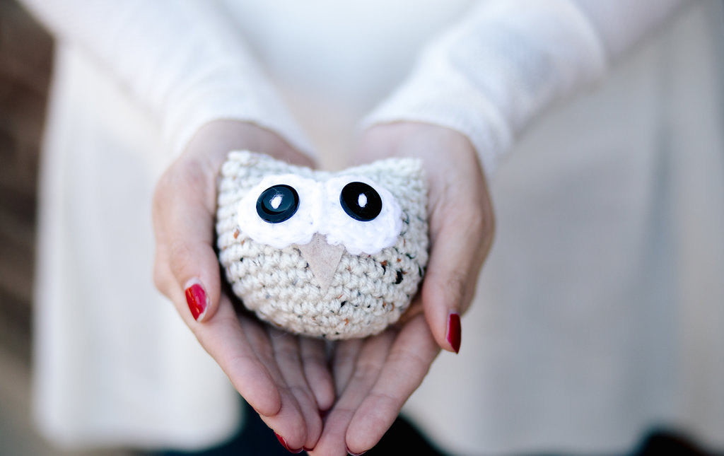 Owlbert the Amigurumi Owl // Crochet PDF Pattern