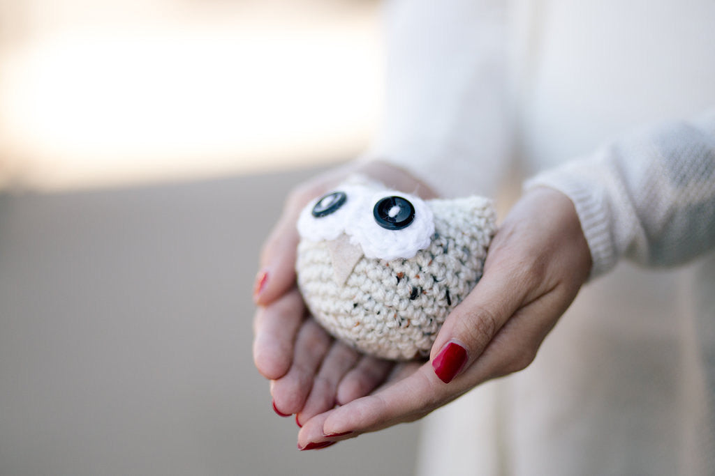 Owlbert the Amigurumi Owl // Crochet PDF Pattern